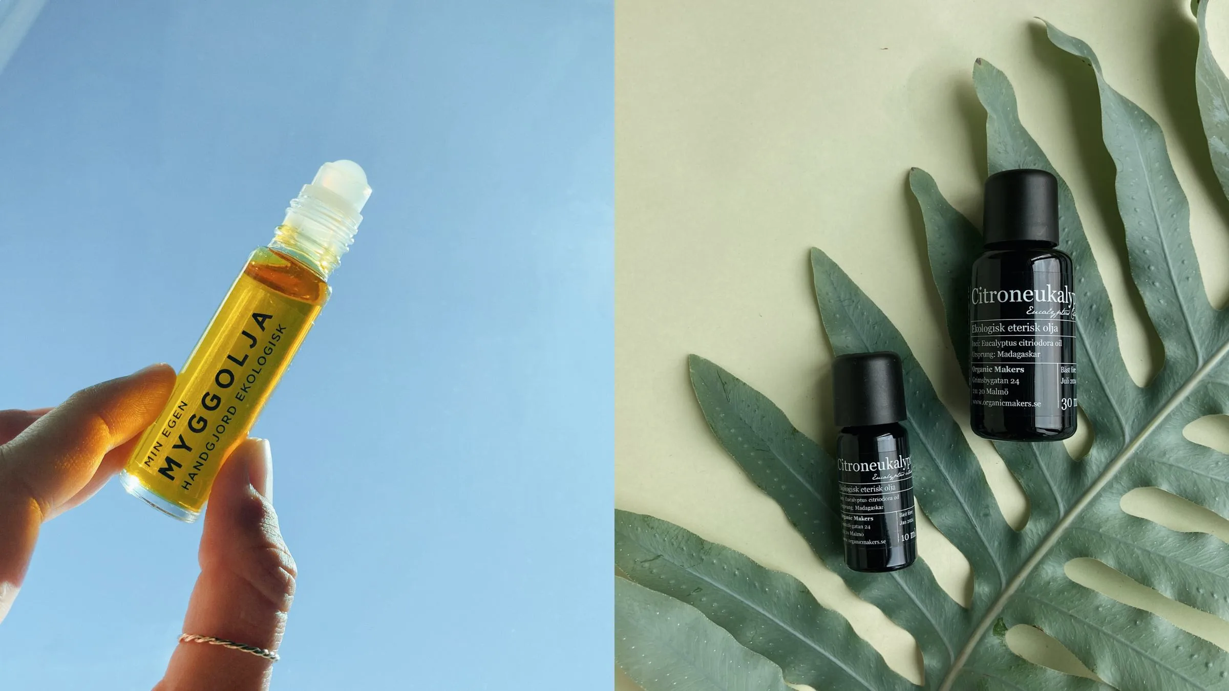 Myggolja citroneukalyptus DIY