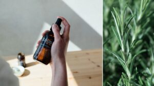 Recept: Hårbottenspray med eterisk olja rosmarin för tjockare hår