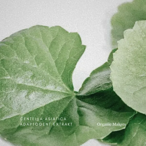 Centella Asiatica extrakt