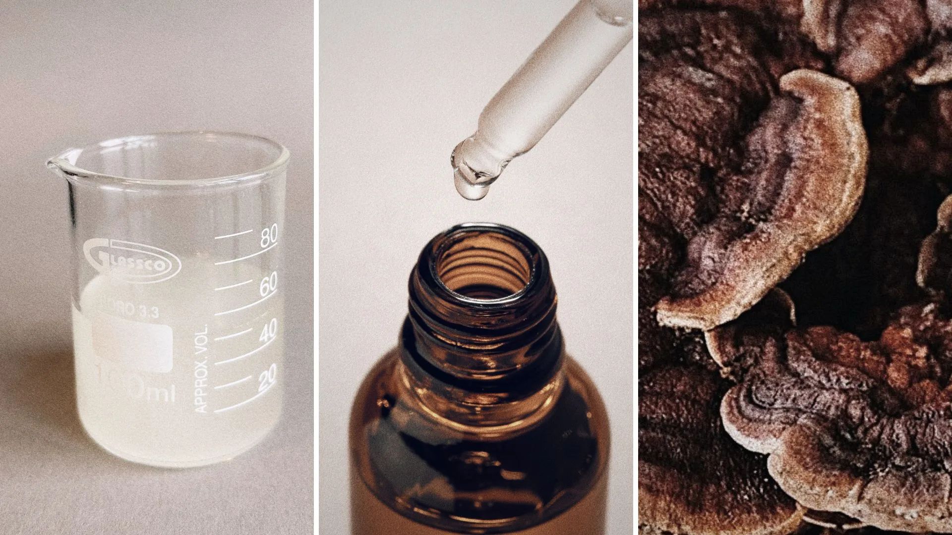 DIY adaptogen booster - gör egen hudvård med adaptogener