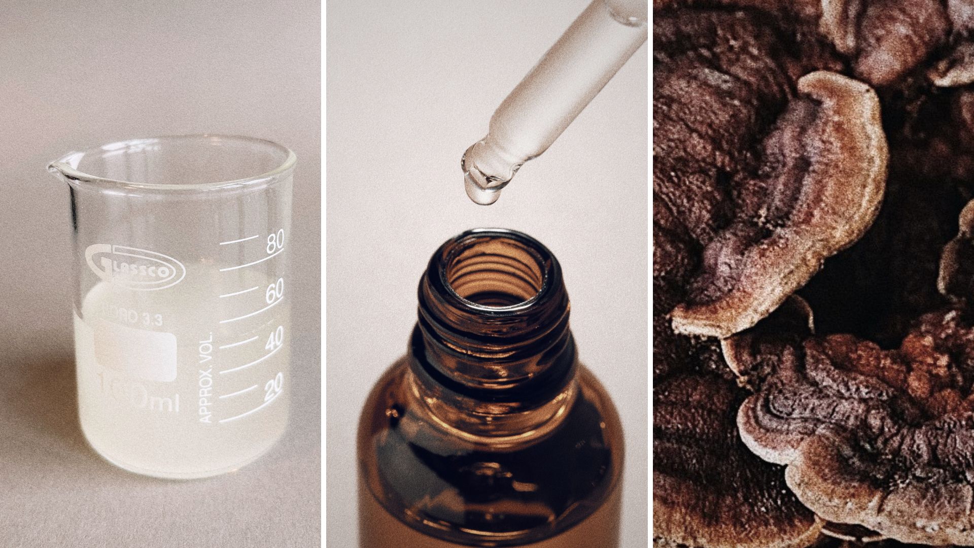 Adaptogen booster med Cica, Reishi, Chaga & Cordyceps