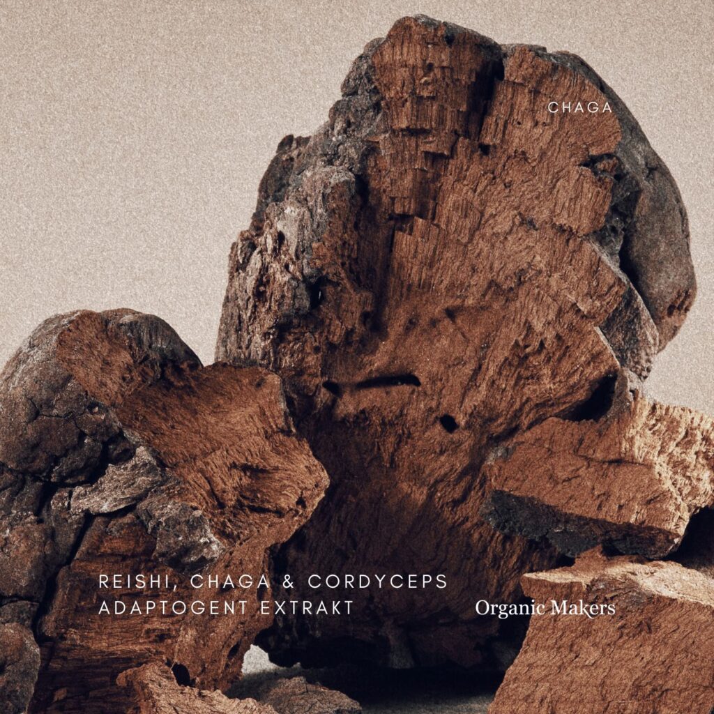 Reishi, Chaga, Cordyceps adaptogent svampextrakt