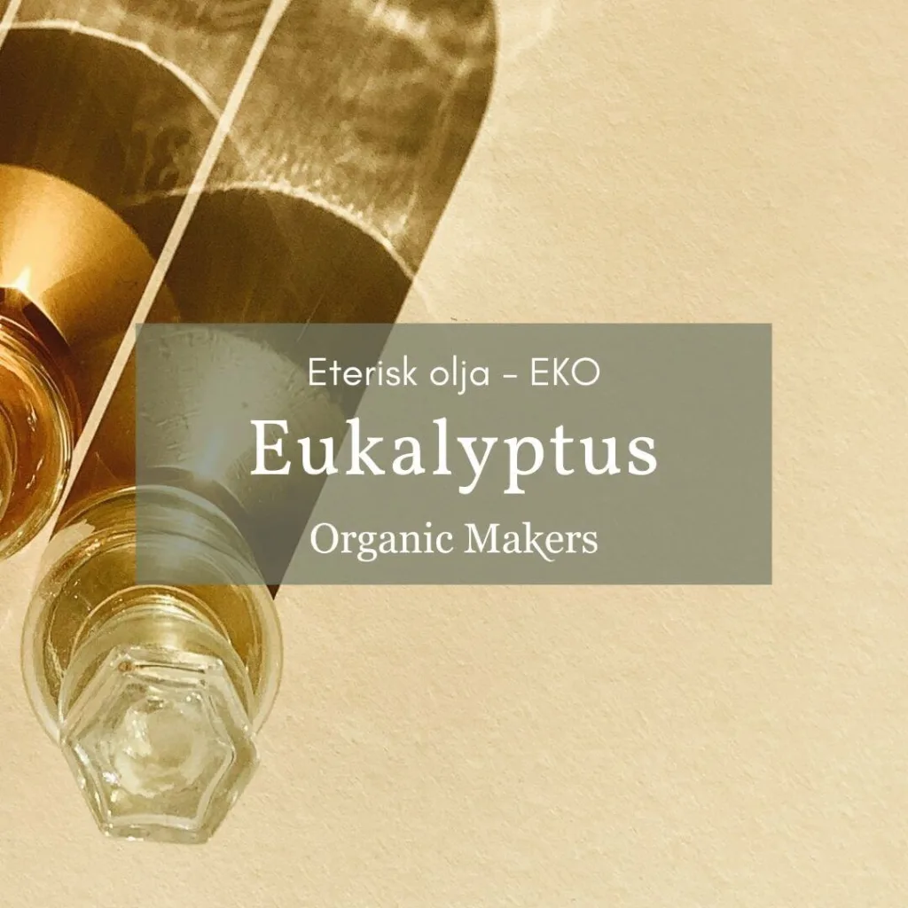 Eukalyptus eterisk olja eko