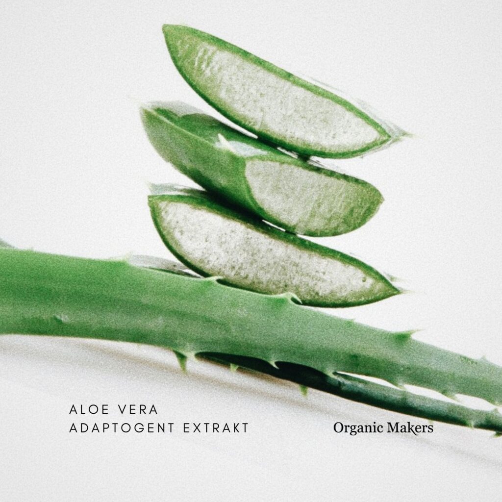 Aloe Vera Adaptogent extrakt för hudvård