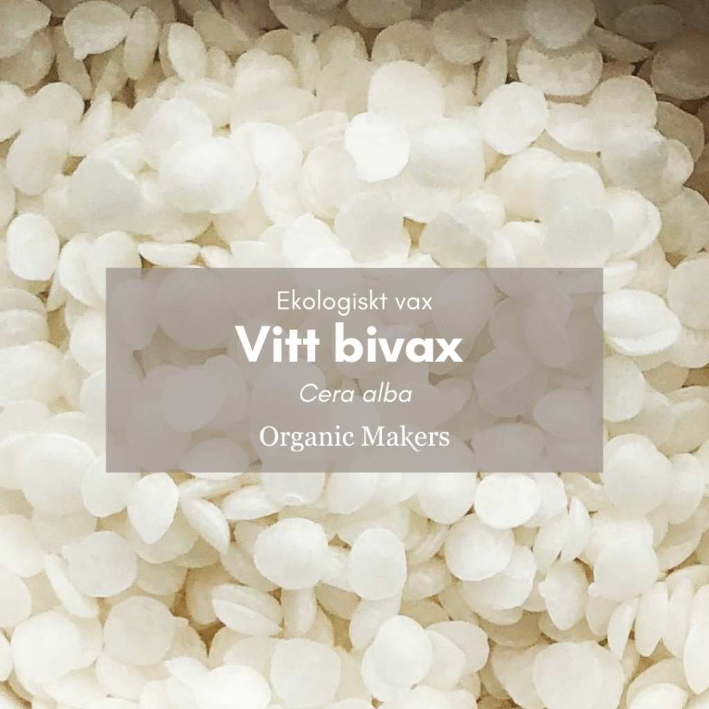 Vitt bivax