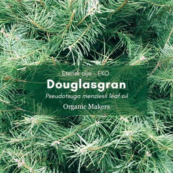 Douglasgran eterisk olja i storpack