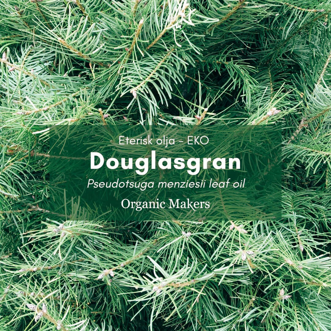 Douglasgran eterisk olja i storpack