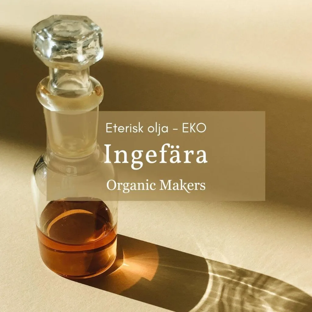 Ekologisk eterisk olja ingefära