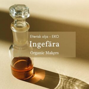 Ekologisk eterisk olja ingefära