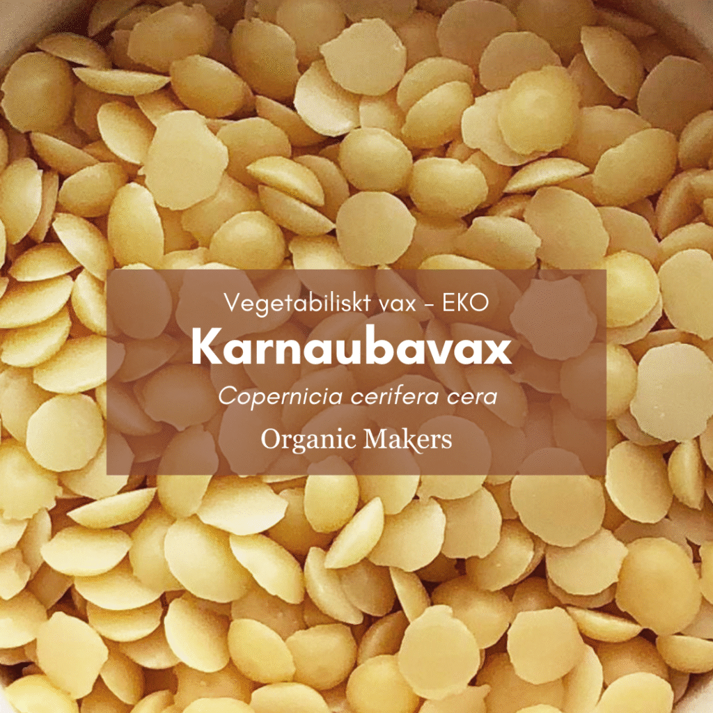 karnaubavax