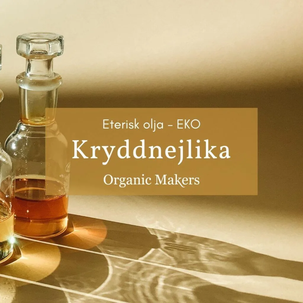 Ekologisk eterisk olja kryddnejlika i storpack