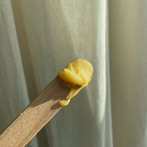 Gör egen ringblomssalva med ringblomsextrakt