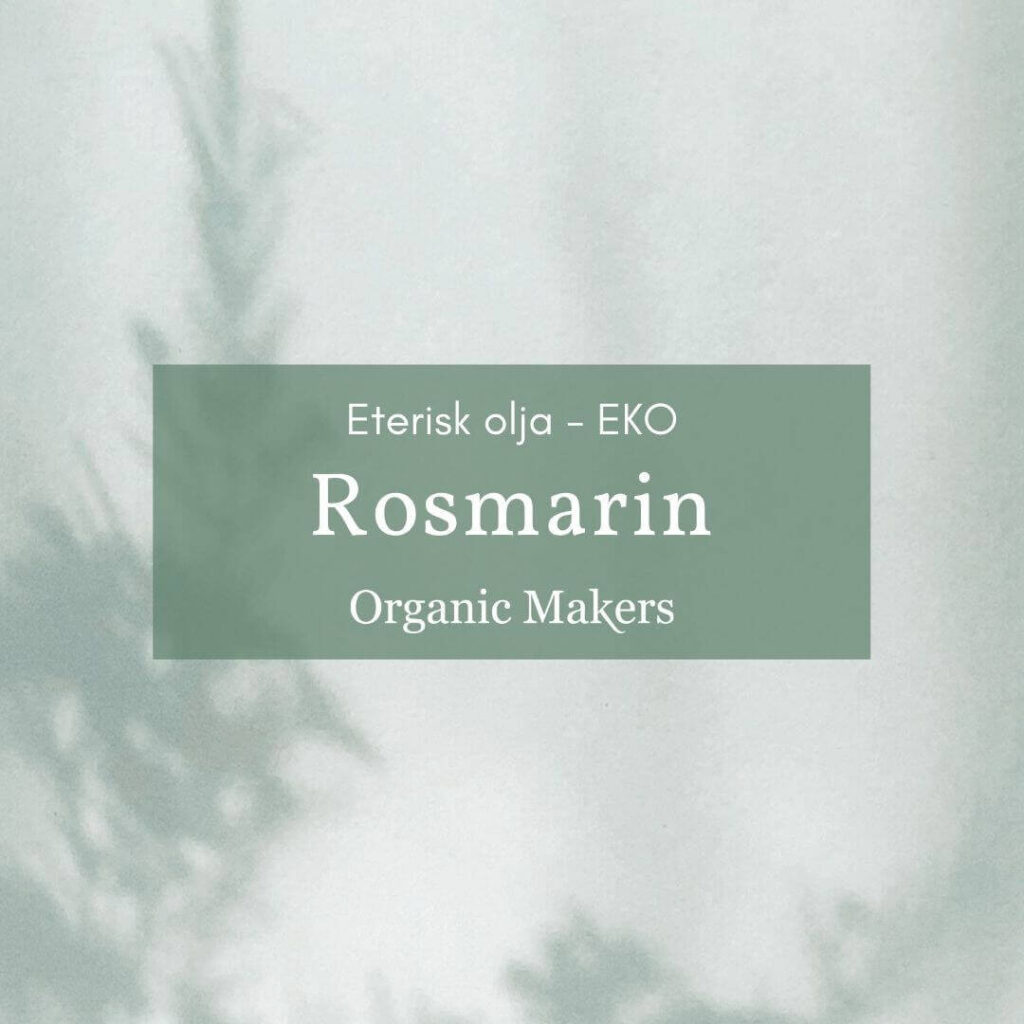 Ekologisk eterisk olja rosmarin i storpack