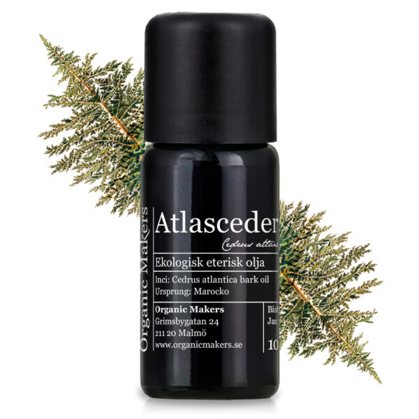 Eterisk olja atlasceder - ekologisk