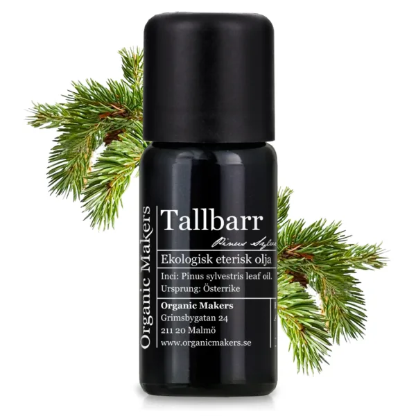 Tallbarr eterisk olja i uv-skyddande glasflaska