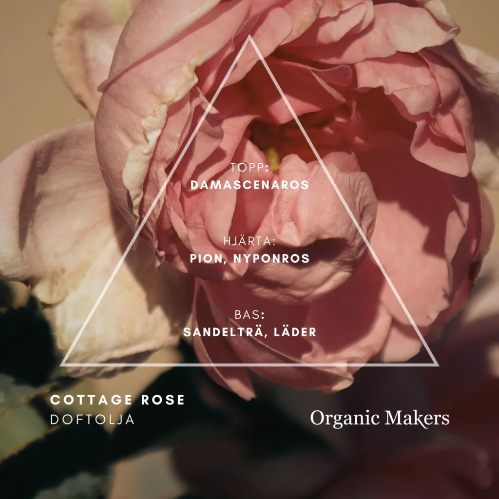 Cottage Rose Doftolja