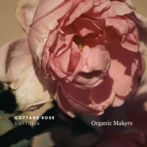 Cottage Rose Doftolja