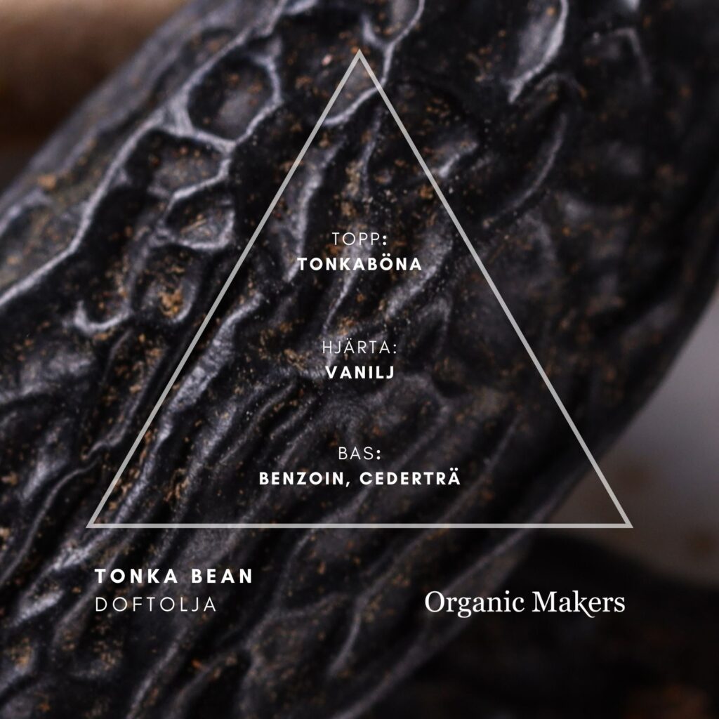 Tonka bean doftolja för hudvård, parfym & doftljus