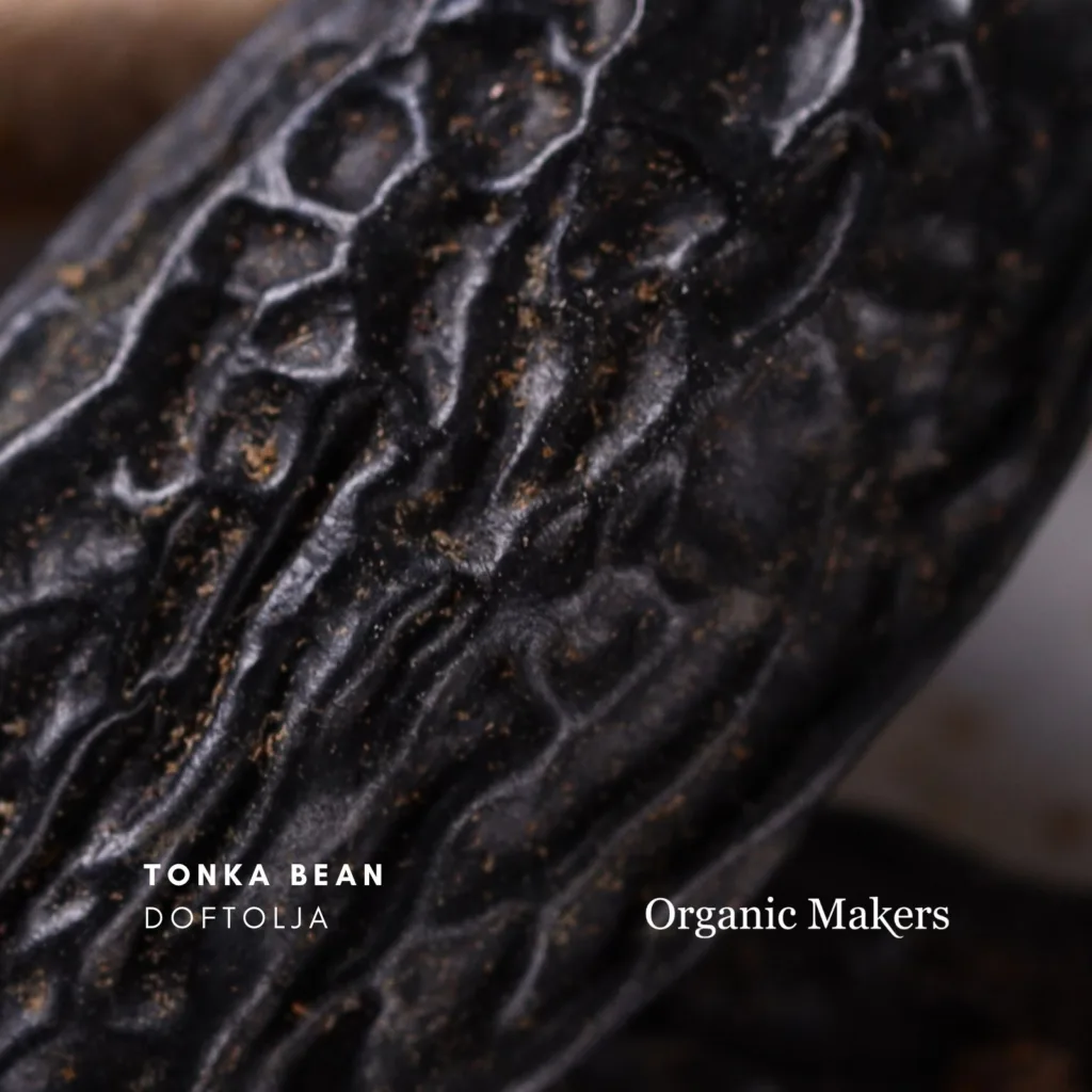 Tonka bean doftolja för hudvård, parfym & doftljus