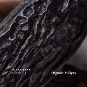 Tonka bean doftolja för hudvård, parfym & doftljus