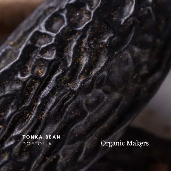Tonka bean doftolja för hudvård, parfym & doftljus