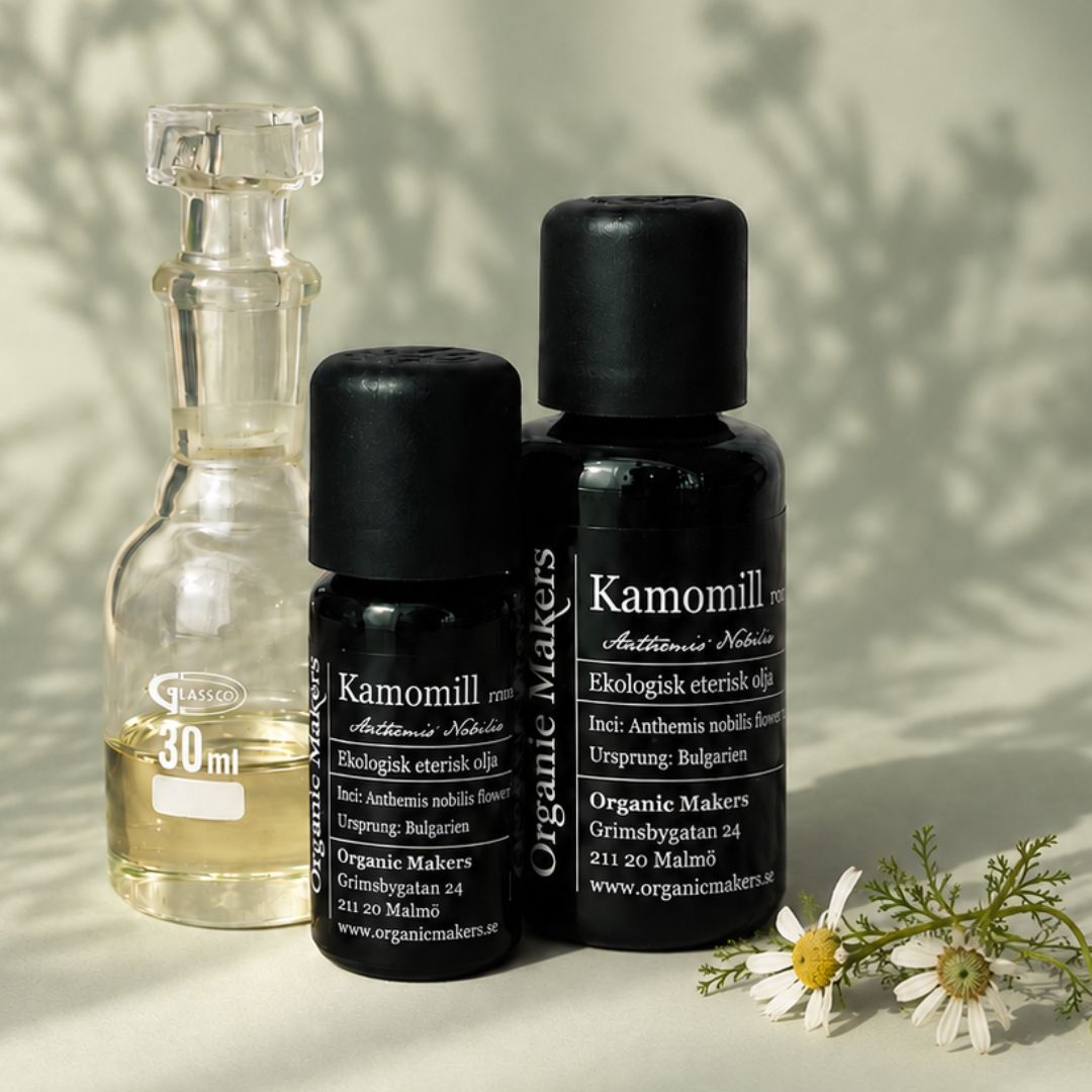 Ekologisk eterisk olja Romersk kamomill i uv-skyddande glasflaskor bredvid en glaskaraff med olja, med kamomillblommor