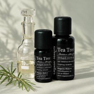 Ekologisk eterisk olja Tea Tree i uv-skyddande glasflaskor bredvid en glaskaraff med olja, med en kvist tea tree